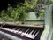 Flowers growing out of a baby grand piano