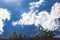 Flowers growning over top of adobe wall with dramatic blue sky and wispy fluffy clouds and sunspots