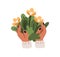 Flowers in hands. Holding floral bunch, fresh bouquet. Cut blooms and leaf. Blossomed field plants and leaves, beautiful