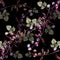 Flowers Haricot of Watercolor. Floral Seamless Pattern on a Black Background.