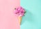 Flowers ice cream waffle cone Styled flat lay