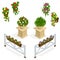 Flowers icon. Design elements for the cafe. Isometric vector flowers elements for landscape design. Flowers background