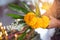 Flowers, incense and candles set for Buddhist worship Buddha