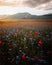 Flowers land in Castelluccio di Norcia, Italy