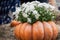 Flowers in large ribbed pumpkin. Thanksgiving Day and Halloween festive decoration and concept. Autumn, fall background