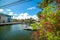 Flowers in Las Olas Isles under a blue sky