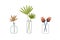 Flowers and leaves in glass vase, bottle and jar. Foliage branch with leaf for interior decoration. Modern plants for