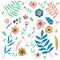 Flowers and leaves graphic. Floral Design elements