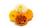 Flowers marigold isolated