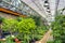 Flowers in modern greenhouse