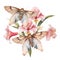 Flowers with Moth Watercolor, Florals Clipart