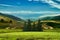 Flowers  and mountain on blue sky rainbow wild field and pine trees beautiful  nature landscape