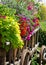 Flowers in old wooden wagon