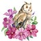 Flowers and owl on an isolated white background. Watercolor illustration, poster with an owl with a bouquet of flowers