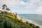 Flowers and the Pacific Ocean, at Treasure Island Park in Laguna Beach, Orange County, California