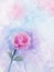 Flowers painting. Pink rose floral in pastel color