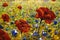 Flowers paintings monet painting claude impressionism paint landscape