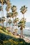 Flowers and palm trees at Heisler Park, in Laguna Beach, Orange County, California