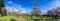 Flowers. Panoramic view of the Quinta de los Molinos park in Madrid in full spring bloom of almond and cherry trees