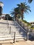 flowers - pansies in the flower beds and palm trees along the stairs leading up