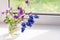 Flowers Pansies and Muscari. Wildflowers on the window