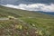 Flowers panzeria mountains slope clouds overcast