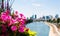 Flowers and Paris skyline