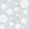 Flowers pattern daisy on gray background