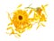 Flowers and petals of Calendula on white background, top view. Medicinal herb