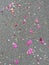 Flowers petals on the street during a festival