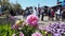 Flowers in Pier 39 in fishermans Wharf with tourists walking by on a windy summer day