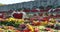 Flowers placed at a monument for victory day of World war 2