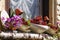 Flowers planted in dining service on a windowsill of a house