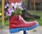 Flowers planted in an old red Shoe