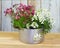 Flowers are planted in a vintage flowerpot.