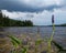 Flowers and Plants in Front of Lake Clouds and Forest Shoreline