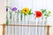 Flowers and plants in test tubes on white background. The concept of biological research