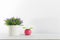 Flowers and pot on a white with wall shelf.