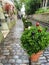 Flowers in pots line a cobbled sidewalk outside a crafts shop on Montmartre in Paris, France