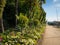 Flowers on the promenade Clair de lune in Dinard