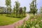 Flowers by red-colored path before fenced houses in sunny summer