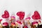 Flowers and red hearts on a white background for Valentine`s Day