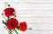 Flowers red poppy and buds  Papaver rhoeas, corn poppy, corn rose, field poppy, red weed  on white painted wooden planks