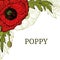 flowers of red poppy. Color red green graphics, vector illustration