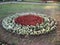 Flowers, red, White, Geen, Grass, Park, Walk