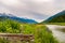 Flowers on River Bank in Alpine Meadow