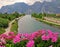 Flowers, river and mountains