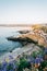 Flowers and rocky coast at sunset, in La Jolla, San Diego, California