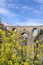 Flowers in Ronda, Andalusian town in Spain at the Puente Nuevo Bridge over the Tajo Gorge, pueblo blanco