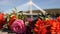 Flowers with Rovaniemi bridge in the background